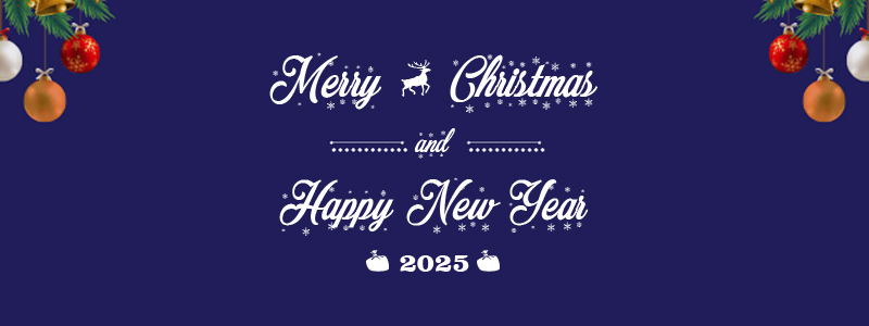 New year 2025