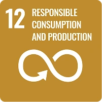 SDG - 12